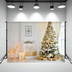 Layoris White House Fireplace Christmas Backdrop