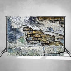 Dilapidated Rustic Wall Photography Backdrop - Layoris