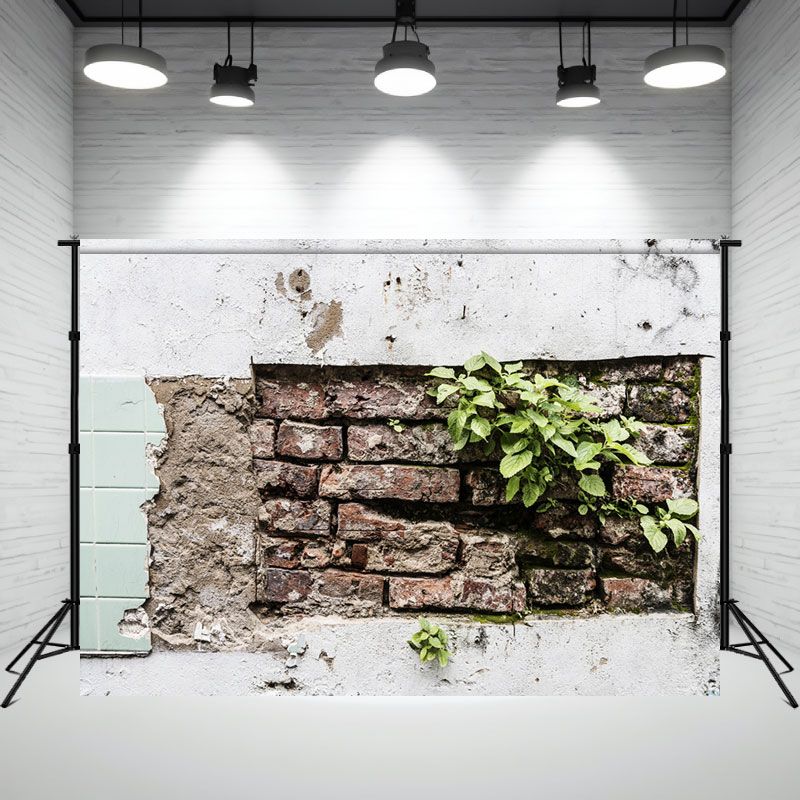 Dilapidated Brick Wall With Grass Photo Backdrop - Layoris