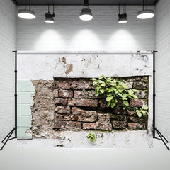 Dilapidated Brick Wall With Grass Photo Backdrop - Layoris