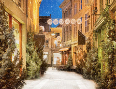 Snow Festival Street Building Christmas Backdrop - Layoris