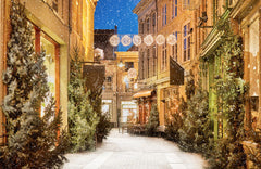 Snow Festival Street Building Christmas Backdrop - Layoris