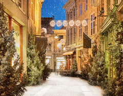 Snow Festival Street Building Christmas Backdrop - Layoris