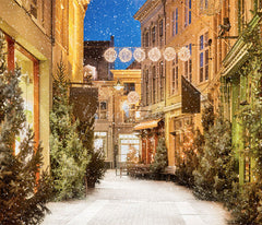 Snow Festival Street Building Christmas Backdrop - Layoris