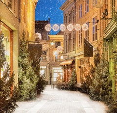 Snow Festival Street Building Christmas Backdrop - Layoris