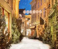 Snow Festival Street Building Christmas Backdrop - Layoris
