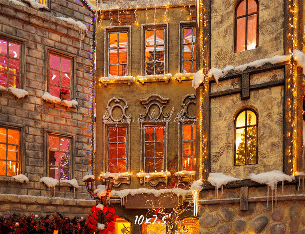European Castle Christmas Photo Backdrop - Layoris