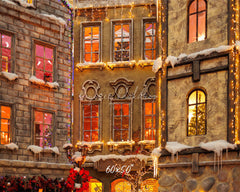 European Castle Christmas Photo Backdrop - Layoris