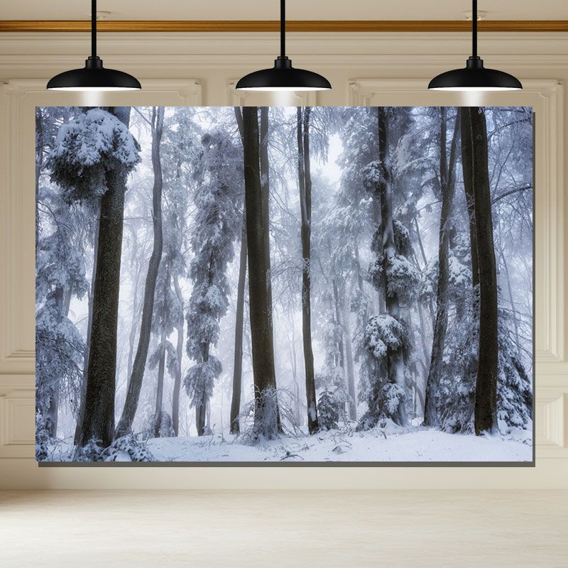 Layoris Straight Trees Covered With Snow Winter Backdrop