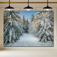 Layoris Pine Forest Snow Sunlight Winter Backdrop