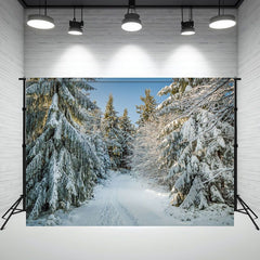 Layoris Pine Forest Snow Sunlight Winter Backdrop