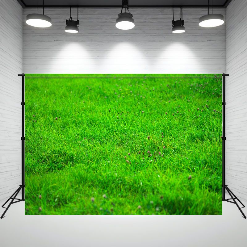 Landscape Of Meadow With Small Flowers Photo Backdrop - Layoris
