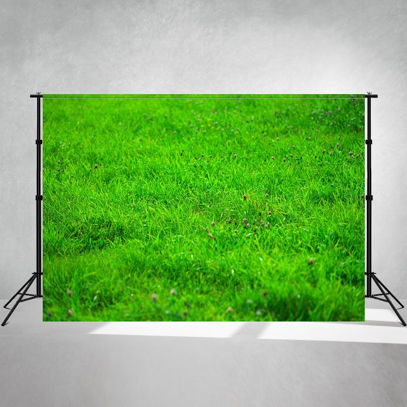 Landscape Of Meadow With Small Flowers Photo Backdrop - Layoris