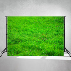 Landscape Of Meadow With Small Flowers Photo Backdrop - Layoris