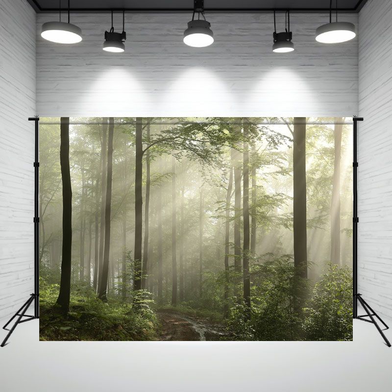 Sunshine Through The Primeval Forest Photo Backdrop - Layoris