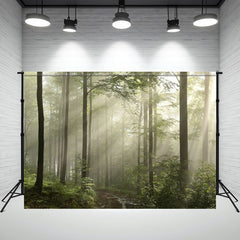 Sunshine Through The Primeval Forest Photo Backdrop - Layoris