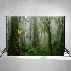 Deep In The Primeval Forest Photo Backdrop - Layoris