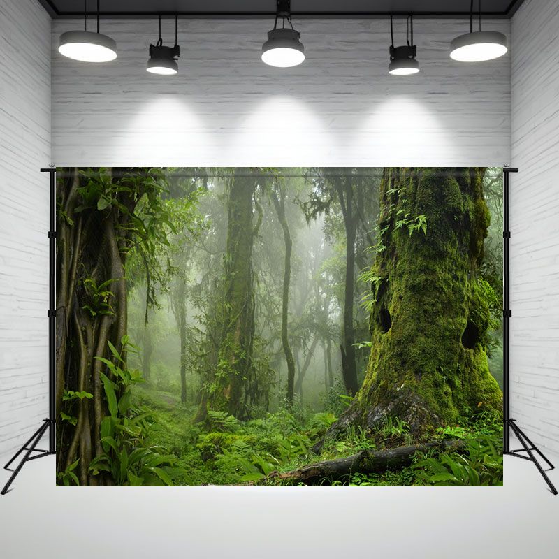 Moss Covered Trees Primeval Forest Photo Backdrop - Layoris