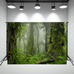 Moss Covered Trees Primeval Forest Photo Backdrop - Layoris