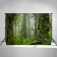 Moss Covered Trees Primeval Forest Photo Backdrop - Layoris