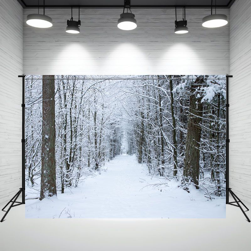Winter Snowy Woods Snow Photography Backdrop - Layoris