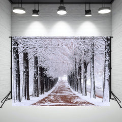 Layoris Path With Snow Covered Trees Winter Backdrop