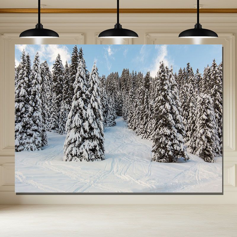Layoris Snow Covered Pine Forest Blue Sky Winter Backdrop