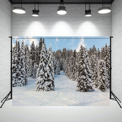 Layoris Snow Covered Pine Forest Blue Sky Winter Backdrop