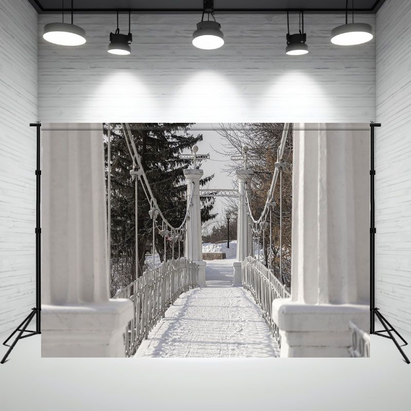 Layoris Snowy White Bridge Architectural Backdrop