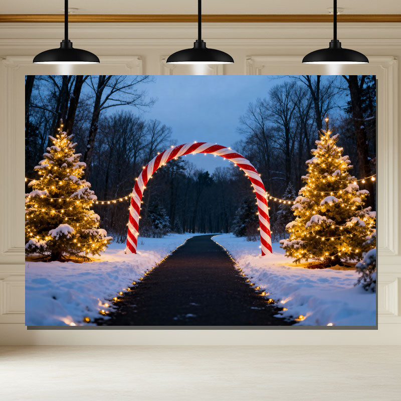 Layoris Candy Arch Night Christmas Photo Backdrop