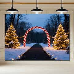 Layoris Candy Arch Night Christmas Photo Backdrop