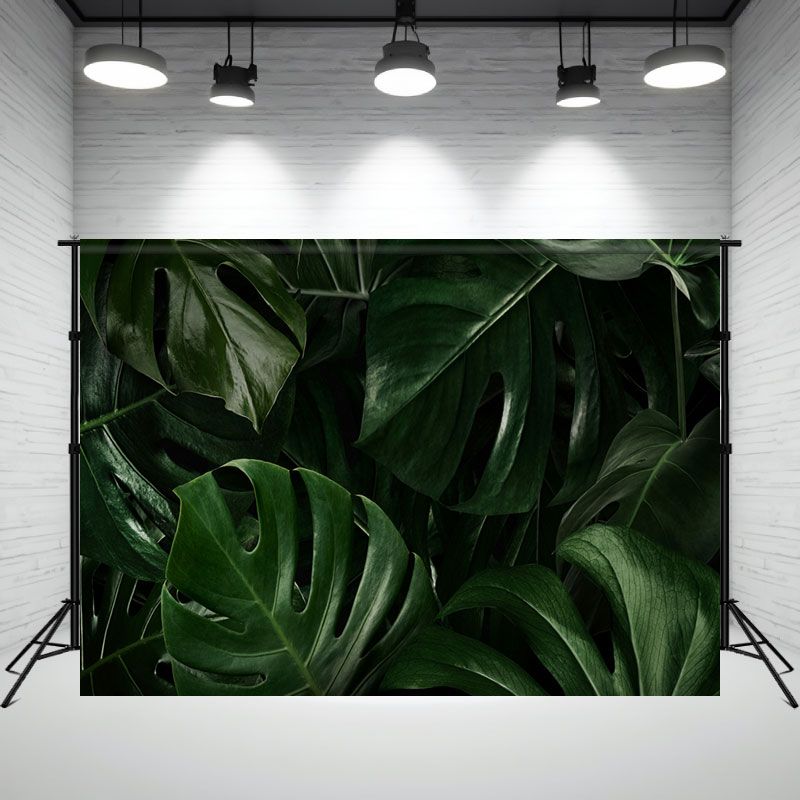 Green Monstera Tropical Leaves Photo Backdrop - Layoris