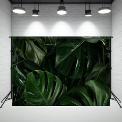 Green Monstera Tropical Leaves Photo Backdrop - Layoris