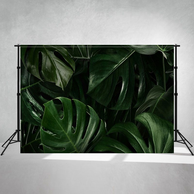 Green Monstera Tropical Leaves Photo Backdrop - Layoris