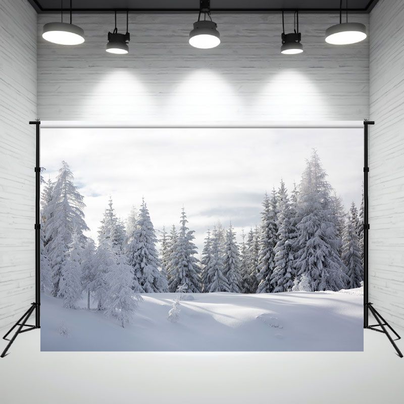 Snow Covered Pine Forest Winter Photo Backdrop - Layoris