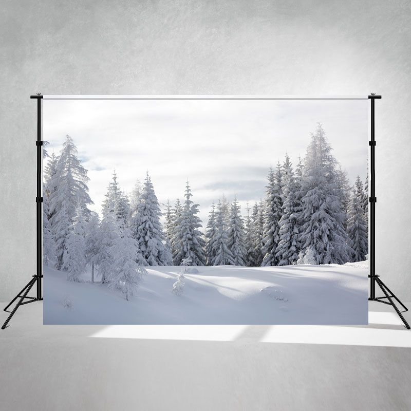 Snow Covered Pine Forest Winter Photo Backdrop - Layoris