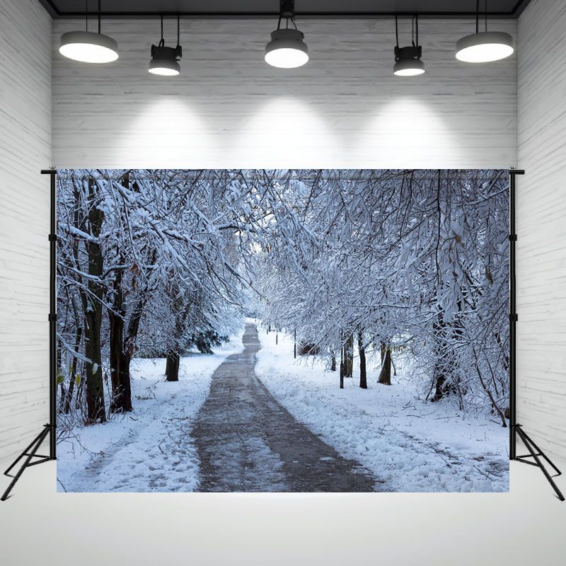 Winter Dirt Road Snow Covered Woods Backdrop - Layoris