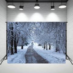 Winter Dirt Road Snow Covered Woods Backdrop - Layoris