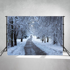 Winter Dirt Road Snow Covered Woods Backdrop - Layoris
