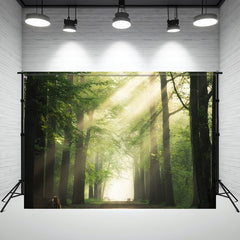 The Wizard Of Oz Forest Photography Backdrop - Layoris