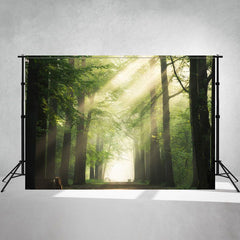 The Wizard Of Oz Forest Photography Backdrop - Layoris
