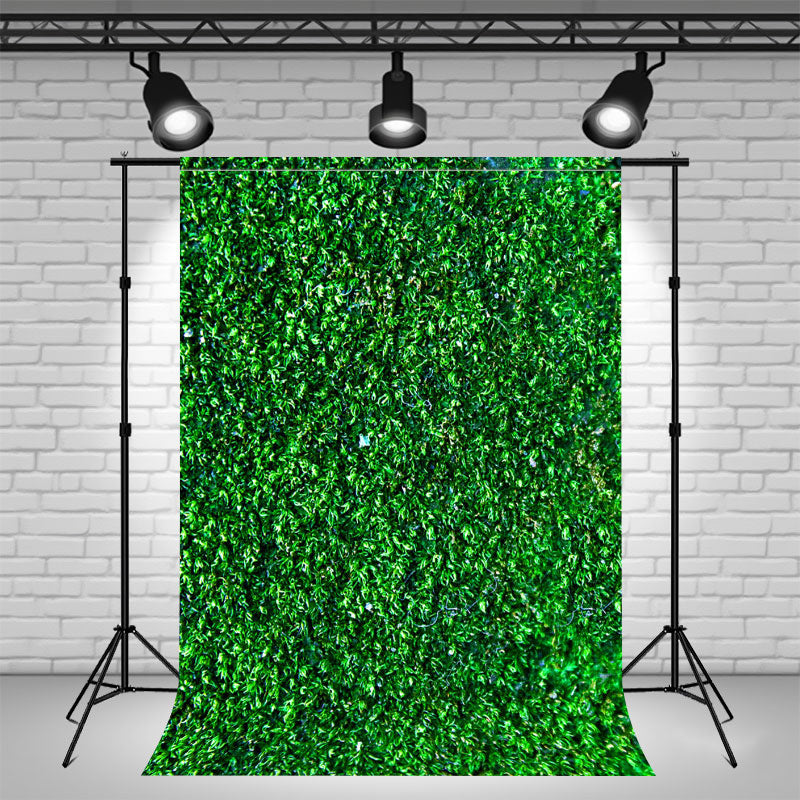 Green Grass Wall Celebration Photography Backdrop - Layoris
