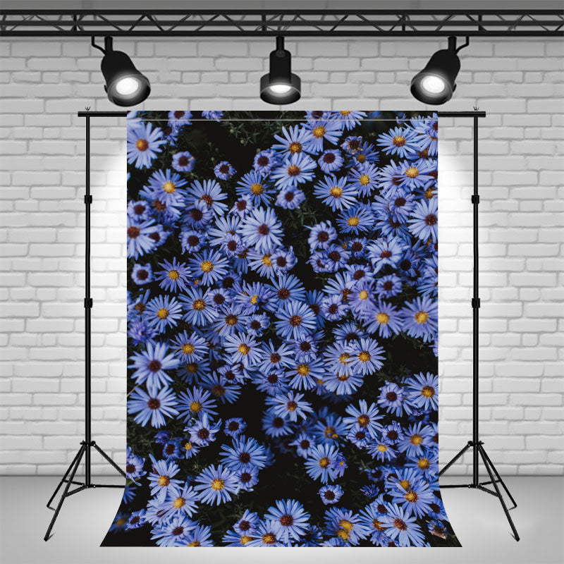Blue Daisy Flower Studio Photography Backdrop - Layoris