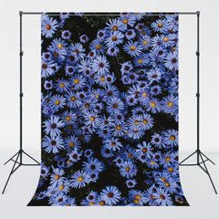 Blue Daisy Flower Studio Photography Backdrop - Layoris