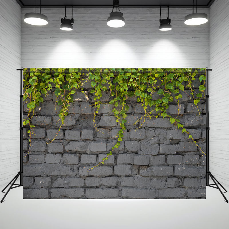 Gray Brick Wall With Vines Hanging Down Backdrop - Layoris