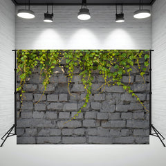 Gray Brick Wall With Vines Hanging Down Backdrop - Layoris