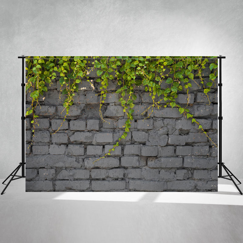Gray Brick Wall With Vines Hanging Down Backdrop - Layoris