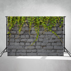 Gray Brick Wall With Vines Hanging Down Backdrop - Layoris