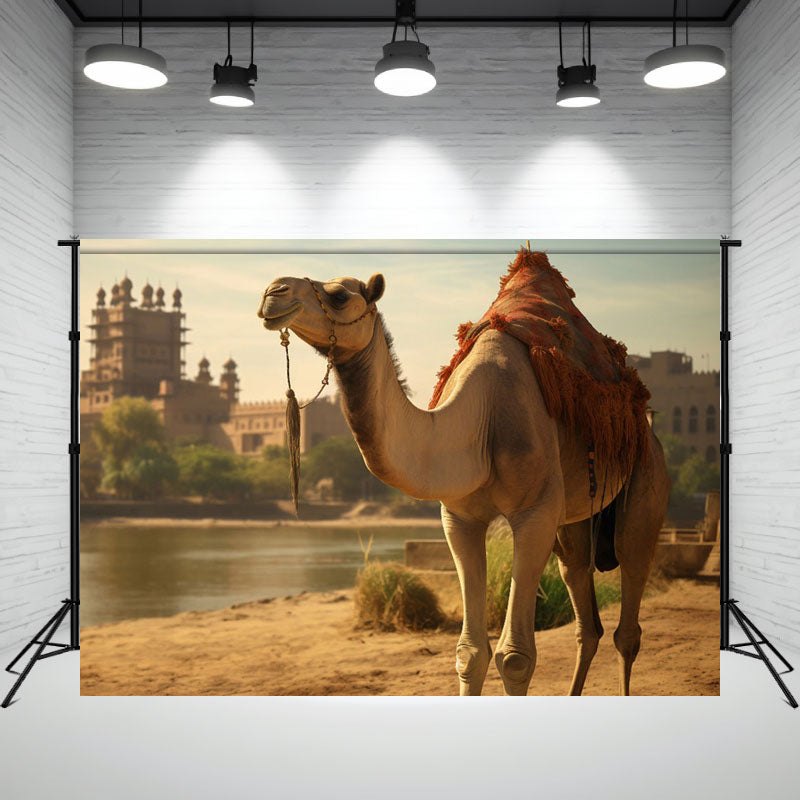Camels And Ancient Town Photography Backdrop - Layoris