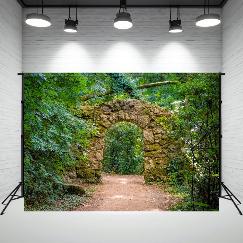 Stone Arch Forest Studio Photography Backdrop - Layoris